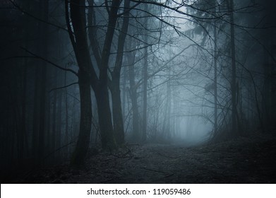 Spooky Forest With Path