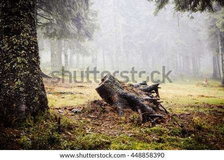 Similar – Foto Bild Nebliger Wald mit einem Licht in der Ferne, Zermatt, Schweiz