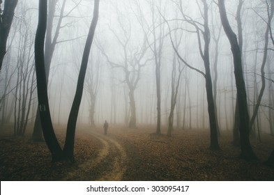 Spooky Forest Road With Man And Twisted Trees