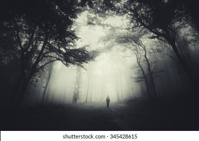 spooky forest scene with man silhouette and dark fog - Shutterstock ID 345428615