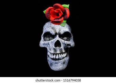 Spooky Halloween Human Skull with red rose on top isolated on black background. Dark image - holidays, decoration and party concept. - Powered by Shutterstock