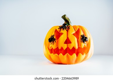 Spooky halloween orange pumpkin, Jack O Lantern with spiders on it on the white background with copy space. Happy Halloween decor concept. Festive postcard. Selective focus