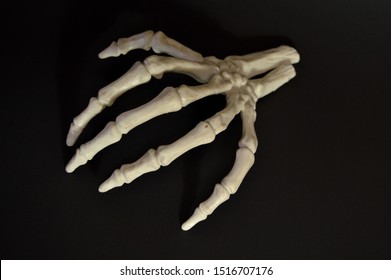 Spooky Halloween severed skeletal hand reaching out
