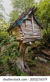 Spooky Hut On A Tree Stump In The Forest. The Concept Of Camping And The Magical House Of Baba Yaga From Slavic Mythology