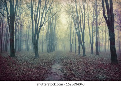 A spooky landscape of an abandoned park with bare trees. - Powered by Shutterstock