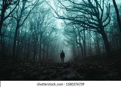 A spooky lone hooded figure in a foggy forest in winter with a dark muted edit