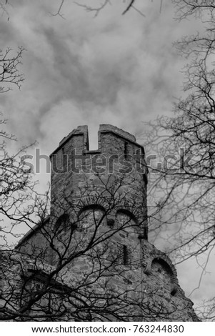 Similar – Kickelhahn Farbfoto