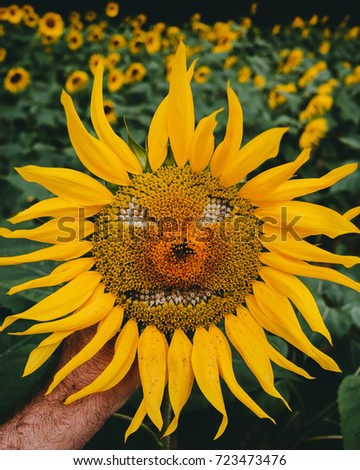 Spooky Sunflower