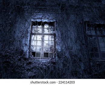 Spooky Window On Ancient Building With Climbing Plants