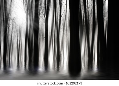 Spooky Woods In Black And White With Flooding