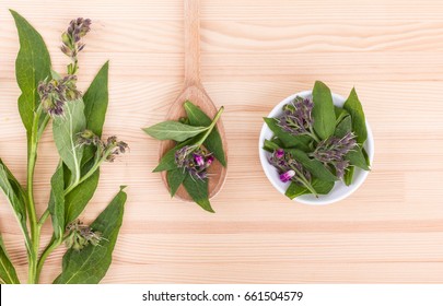 Spoon With Comfrey  And Comfrey Plant 