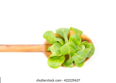 A Spoon Of Salad