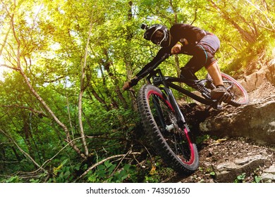 Sport. A cyclist on a bike with a mountain bike in the forest - Shutterstock ID 743501650