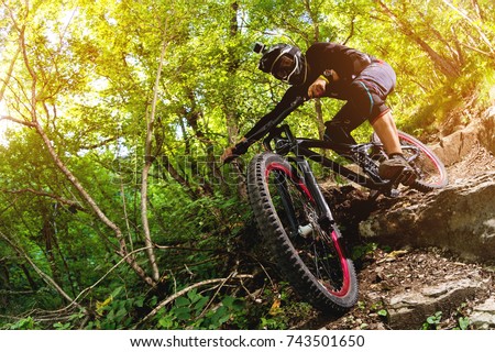 Sport. A cyclist on a bike with a mountain bike in the forest
