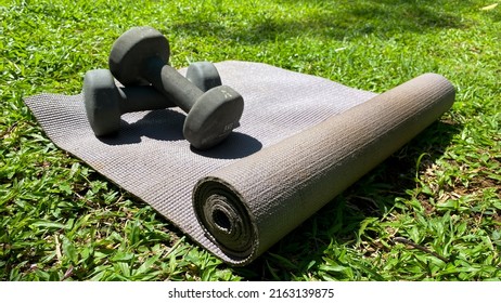 Sport Dumbbells On Purple Exercise Mat On Grass. View From Above.