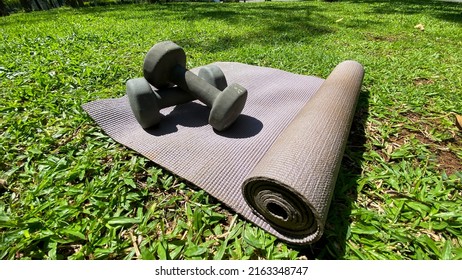 Sport Dumbbells On Purple Exercise Mat On Grass. View From Above.