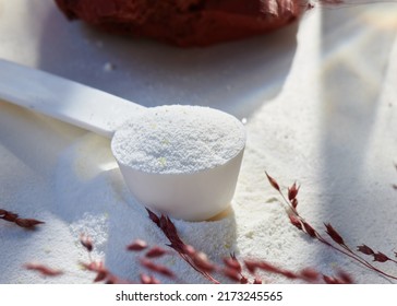 Sport food supplement powder with natural beige background and props. supplement, creatine, hmb, bcaa, amino acid or vitamine in a white scoop. Sport nutrition
→ Check my profile for more !!! - Shutterstock ID 2173245565