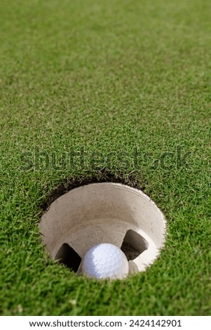 The sport of golf and the elements used in its practice, irons, tee and flagstick.
