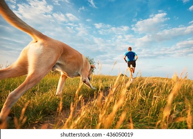 Sport lifestyle with dog. Athletic young man and labrador retriever are running on the hillside outside the city. 