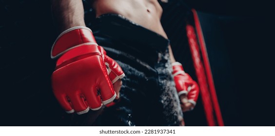 Sport MMA banner. Boxers fighter in ring octagon, dark background spot light.