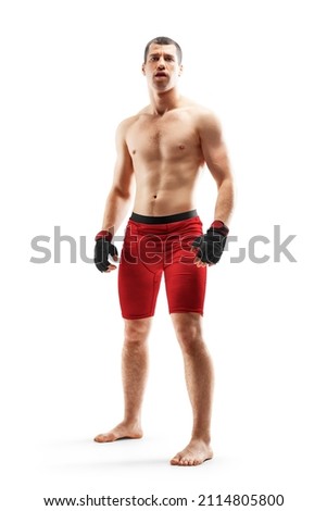 Sport. MMA fighter isolated on white background. Muscular athlete. MMA fighter