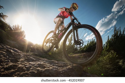 Sport. Mountain Bike Cyclist Riding Single Track.