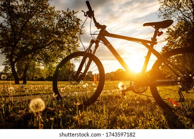 Sports bike in the field at sunset