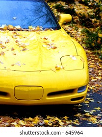 A Sports Car Covered In Leaves