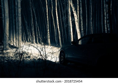 Sports Car With High Beam On In A Winter Pine Forest At Night, Front And Background Blurred With Bokeh Effect 