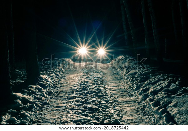 sports car with\
high beam on in a winter pine forest at night, front and background\
blurred with bokeh effect\
