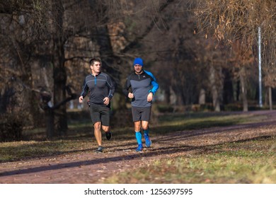 Sports event involving people of different ages organized at the centenary of the Great Romanian unions from 1918 in the city of Pitesti, Arges, Romania (09-12-2018) - Shutterstock ID 1256397595