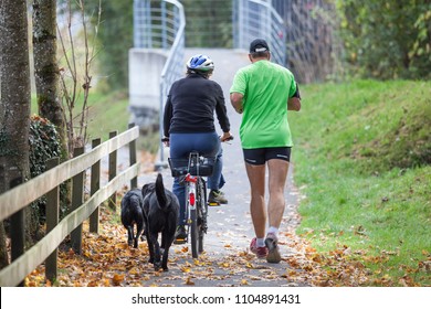 Sports family on a morning run - a woman in a helmet riding a bicycle, a man is running and two black labrador dogs are walking on the street in autumn
