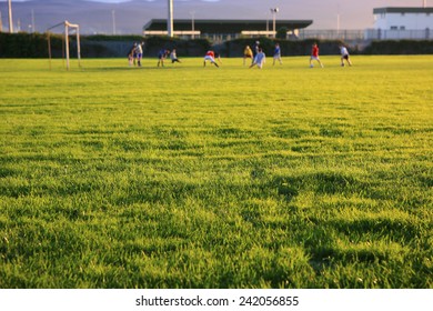 Sports Field And Soccer Players Warming Up