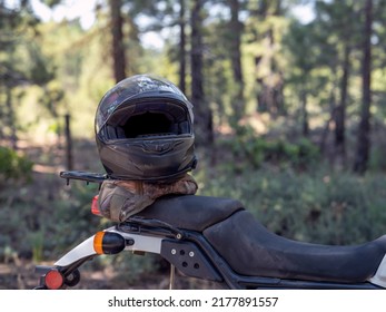 Sports Gear On Adventure Motorcycle Parked Out In A Forest.