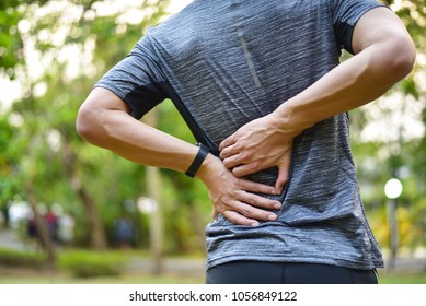 Sports Injury, Low Back Pain, Exercise Induced Muscle Damage