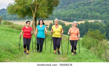 Sports Outside In Nature, Elderly Woman Nordic Walking Group                               