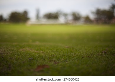 Sports Oval Low Depth Of Field Grass In Foreground In Focus