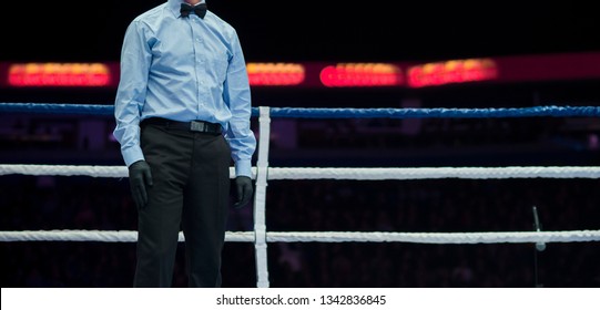 Sports Referee In A Ring Boxing Game