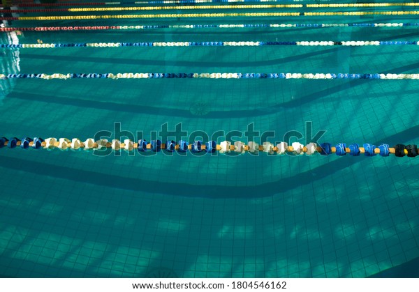 The sports swimming pool. Divided swimming lanes for\
swimmers, 