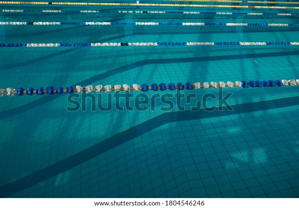 The sports swimming pool. Divided swimming lanes for\
swimmers, 