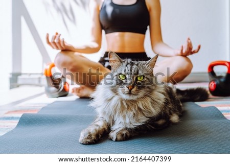 Sports training at home with pets. lazy gray cat lounged on training mat, joined her owner in playing sports. figure of unrecognizable sportswoman in defocus, in yoga pose meditates