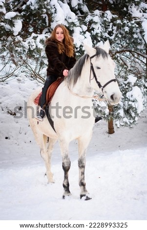 Sports winter horse races. Olympic games and training