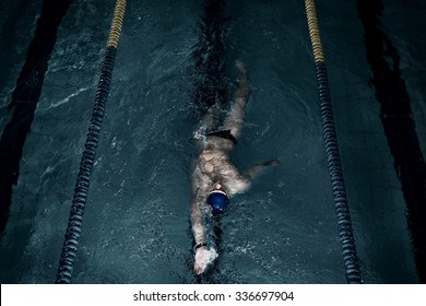 Sportsman swims in a swimming pool