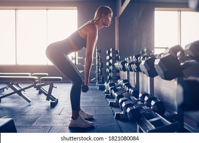 Sporty Girl Workout With Dumbell In Gym.