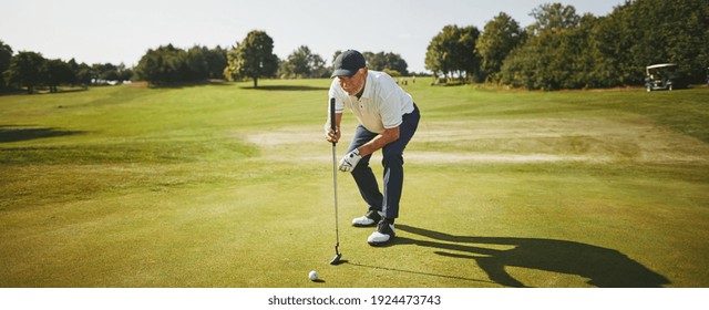 Sporty senior man eyeing the green before a putt while playing a round of golf on a sunny day