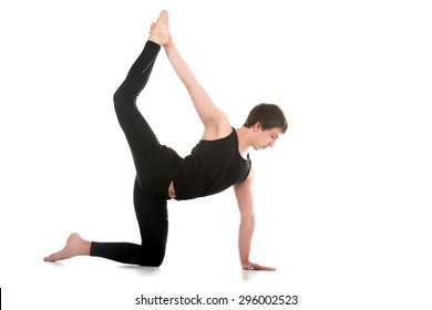 One Handed Tiger Pose Images Stock Photos Vectors Shutterstock