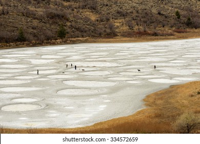 Spotted Lake