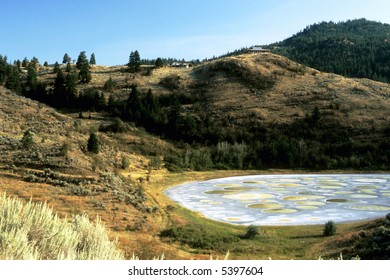 Spotted Lake