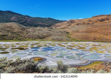 Spotted Lake In British Columbia, Canada