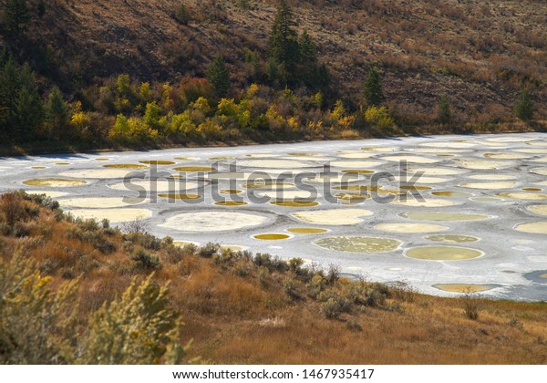 Spotted Lake Osoyoos Canada Spotted Stock Photo Edit Now